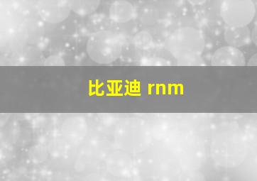 比亚迪 rnm